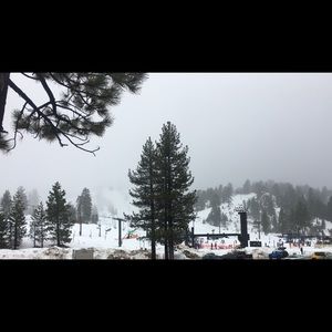 Meet your Posher, Vahid